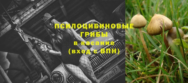 мескалин Баксан