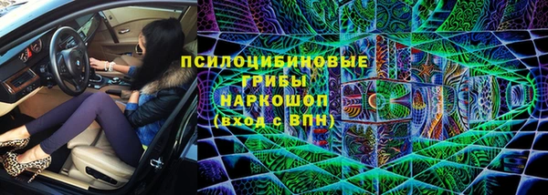 apvp Аркадак