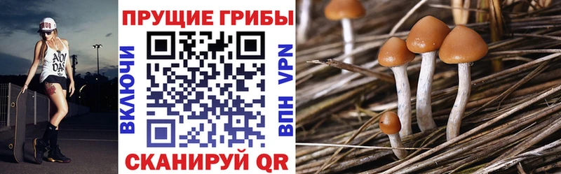 Галлюциногенные грибы прущие грибы  Сольцы 